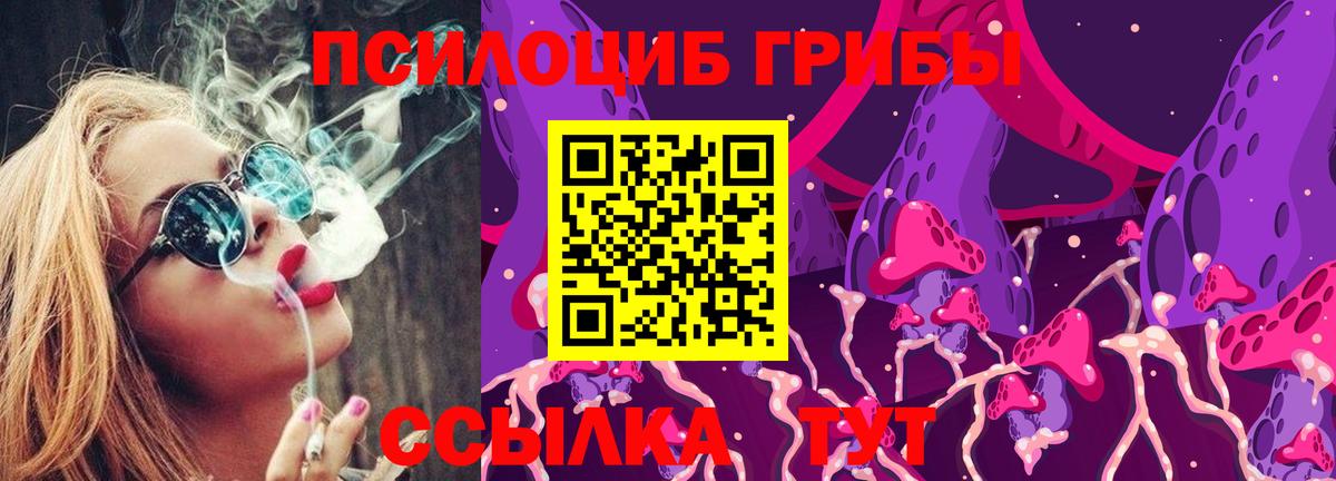 Обь  Псилоцибиновые грибы Psilocybe  Вход с VPN 